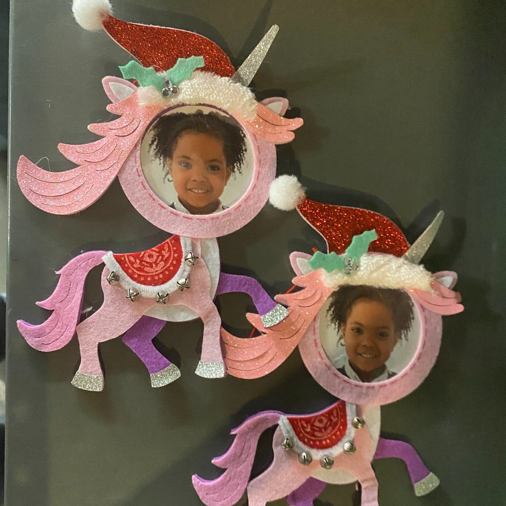 2x Christmas Picture Frame Holiday Pink Felt Unicorn Santa Hat Xmas Studio Decor